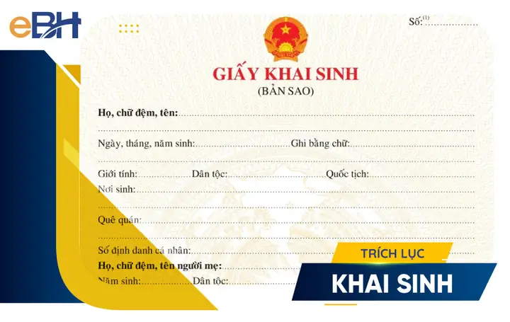 Trích Lục Khai Sinh Là Gì? Tải Về Mẫu Mới Nhất 2024