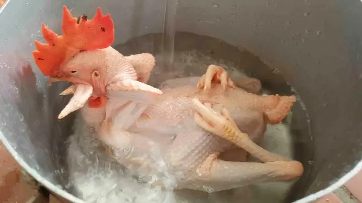 Cách Luộc Gà Cúng Chuẩn Không Cần Chỉnh: Da Căng Vàng, Thịt Không Nát, Thời Gian Chỉ 15 Phút