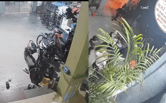 Tài Khoản Bỗng Dưng Bị Trừ 100 Triệu, Người Đàn Ông Gọi Điện Khiếu Nại Thì Mất Tiếp Gần 200 Triệu Đồng: Ngân Hàng Không Có Lỗi