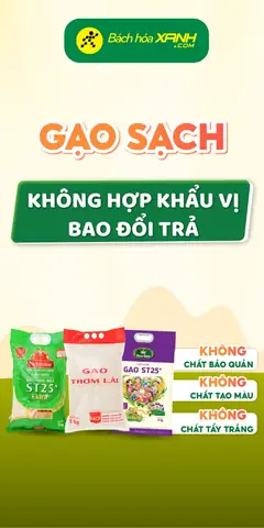 Cẩm Nang Chuẩn Bị Mâm Cúng Giao Thừa Ngoài Trời Chi Tiết Và Đúng Lễ Nghi
