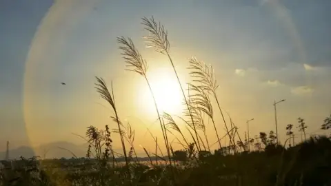 Mâm Cúng Ra Tết: Cẩm Nang Chuẩn Bị Lễ Vật Và Văn Khấn Cho 3 Miền