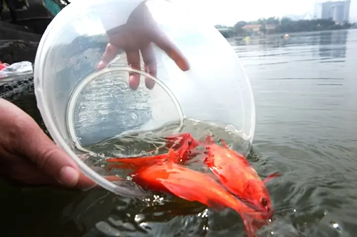 Mâm Cúng Táo Quân: Cẩm Nang Chuẩn Xác Dành Cho Gia Đình Việt