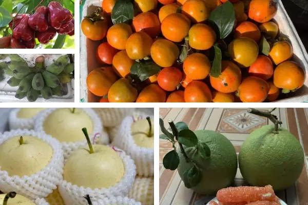 Mâm Cúng Trái Cây: Ý Nghĩa Tâm Linh Và Cẩm Nang Chuẩn Dân Việt