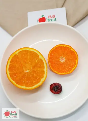 Top 5 Loại Quả Tươi Thắp Hương Lấy Vía May Thần Tài