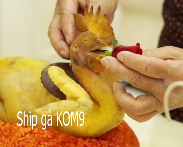 Mâm Xôi Gà Cúng: Giải Mã Ý Nghĩa Phong Tục Và Những Tranh Cãi Văn Hóa Trong Đời Sống Người Việt