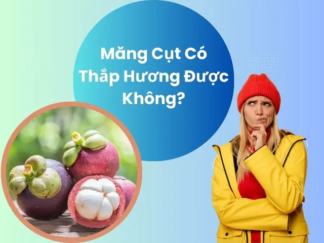 Măng Cụt Có Cúng Được Không? Giải Đáp Chi Tiết Về Vấn Đ Tâm Linh Và Văn Hóa