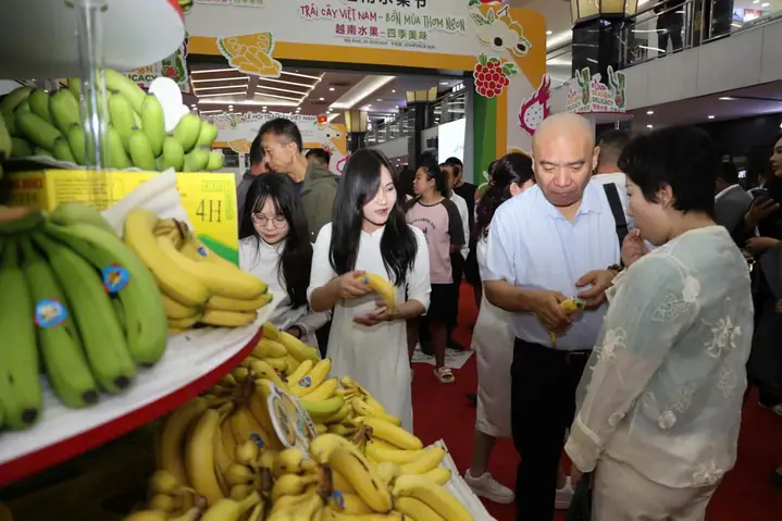 Mâm Trái Cây Cúng Hỷ: Gợi Ý Cách Bày Trí Và Chuẩn Bị Tươm Tất