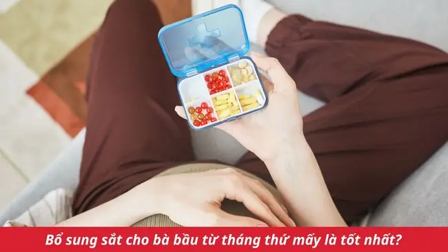 Bổ Sung Sắt Cho Bà Bầu Từ Tháng Thứ Mấy Là Tốt Nhất?