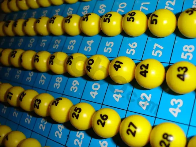 Mơ Bắt Cá Trên Cạn Đánh Con Gì? Giải Mã Chi Tiết Từ Góc Nhìn Tâm Linh Và Khoa Học