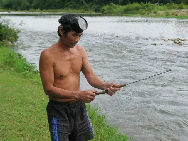 Mơ Bắt Cá Trên Cạn Đánh Con Gì? Giải Mã Chi Tiết Từ Góc Nhìn Tâm Linh Và Khoa Học