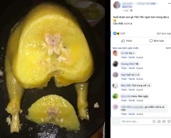 Hình Ảnh Món Gà Luộc Nguyên Con Toàn Mỡ Là Mỡ Vàng Đến Béo Ngậy Khiến Dân Tình Xôn Xao Bình Luận.