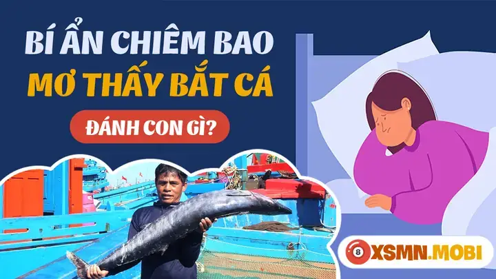 Mơ Thấy Kéo Cá Là Điềm Gì? Giải Mã Chi Tiết Ý Nghĩa Và Con Số May Mắn