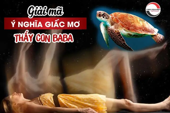 Giải Mã Giấc Mơ Làm Thịt Ba Ba: Điềm Báo Gì Và Con Số May Mắn Liên Quan