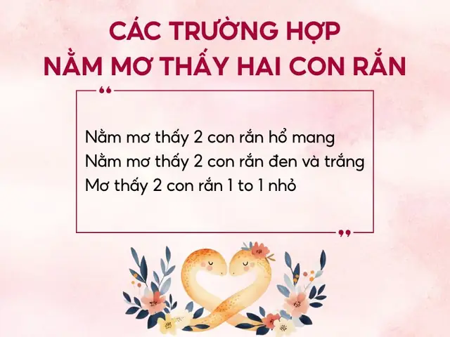 Giải Mã Giấc Mơ Thấy 2 Con Kỳ Đà: Điềm Báo Gì Và Ý Nghĩa Sâu Xa Đằng Sau
