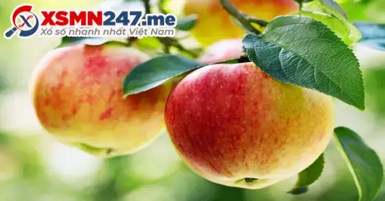 Mơ Thấy Ăn Táo Đánh Con Gì? Giải Mã Chi Tiết Điềm Báo & Con Số May Mắn