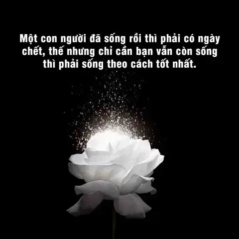 Giải Mã Giấc Mơ Thấy Bà Ngoại Đã Mất Nói Chuyện Với Mình: Điềm Báo Hay Nỗi Nhớ?