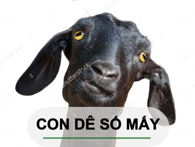 Giải Mã Giấc Mơ Bị Dê Xồm Đánh: Điềm Báo Gì & Con Số May Mắn