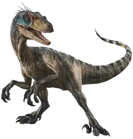 Giải Mã Giấc Mơ Thấy Bị Xâm Hại: Những Góc Nhìn Tâm Lý Và Điềm Báo Tâm Linh