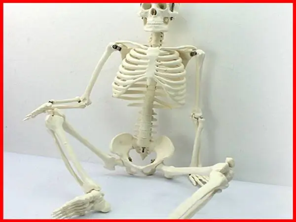 Mơ Thấy Bộ Xương Người Đánh Số Gì? Giải Mã Chi Tiết Và Các Con Số May Mắn