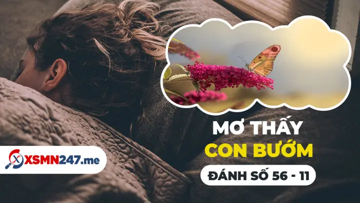 Giải Mã Giấc Mơ Thấy Bướm Đen: Ý Nghĩa Tâm Linh Và Những Con Số May Mắn