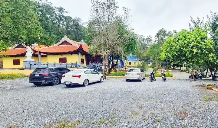 Giải Mã Giấc Mơ Thấy Bướm Đen: Ý Nghĩa Tâm Linh Và Những Con Số May Mắn