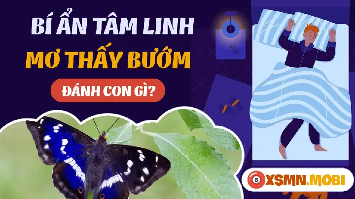 Giải Mã Giấc Mơ Thấy Bướm Đen: Ý Nghĩa Tâm Linh Và Những Con Số May Mắn