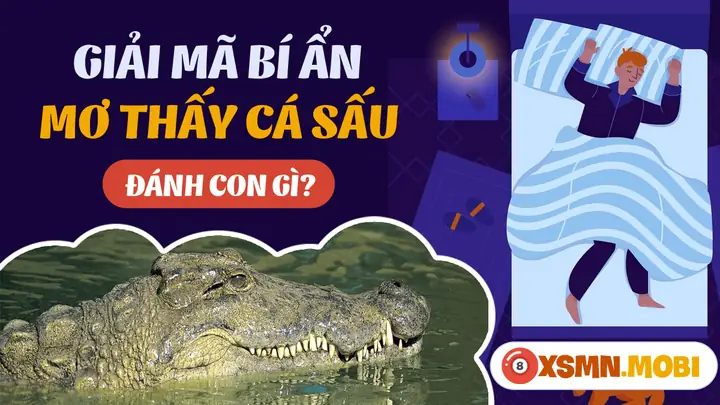 Giải Mã Giấc Mơ Thấy Cá Sấu Và Rắn: Điềm Báo Gì & Con Số May Mắn