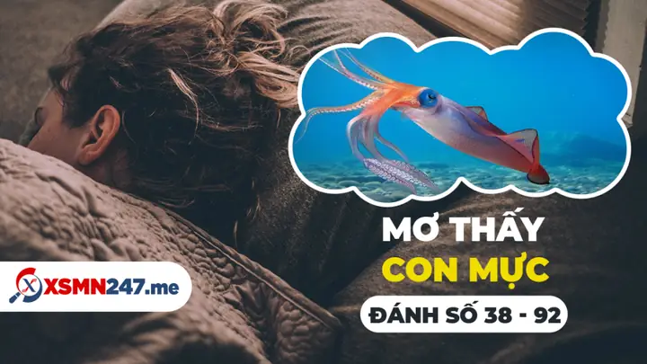 Giải Mã Chi Tiết Giấc Mơ Thấy Câu Được Mực Và Những Con Số May Mắn
