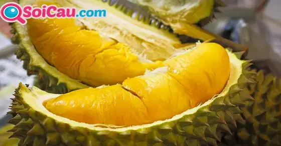 Giải Mã Giấc Mơ Thấy Cây Sầu Riêng Nhiều Quả: Điềm Lành Hay Dữ?