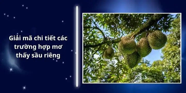 Giải Mã Giấc Mơ Thấy Cây Sầu Riêng Nhiều Quả: Điềm Lành Hay Dữ?