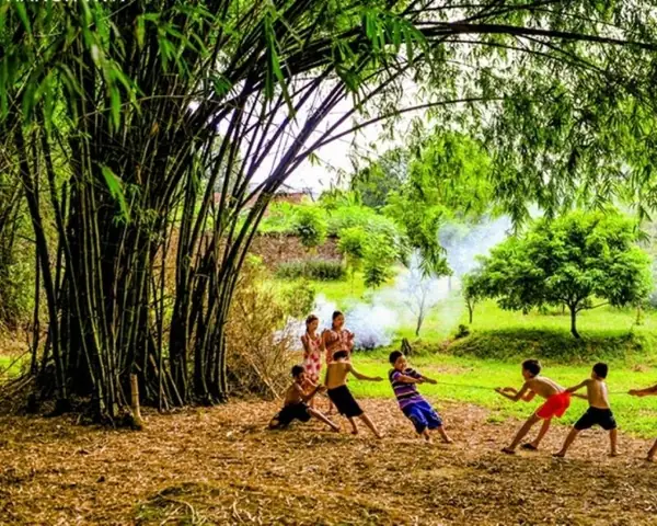 Giải Mã Giấc Mơ Thấy Cây Tre: Ý Nghĩa Tâm Linh Và Những Con Số May Mắn Ẩn Giấu