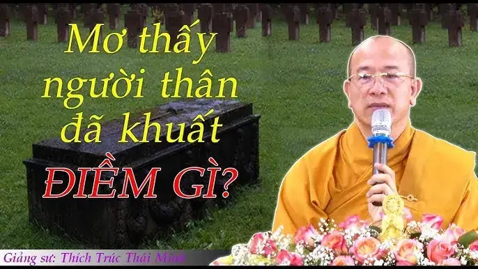 Giải Mã Giấc Mơ Thấy Cây Trúc: Ý Nghĩa Tâm Linh & Con Số May Mắn