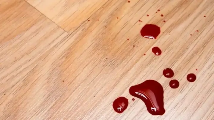 Giải Mã Giấc Mơ Thấy Chảy Máu Vùng Kín: Điềm Báo Gì Và Con Số May Mắn?