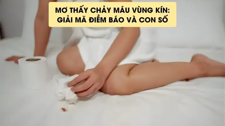 Giải Mã Giấc Mơ Thấy Chảy Máu Vùng Kín: Điềm Báo Gì Và Con Số May Mắn?