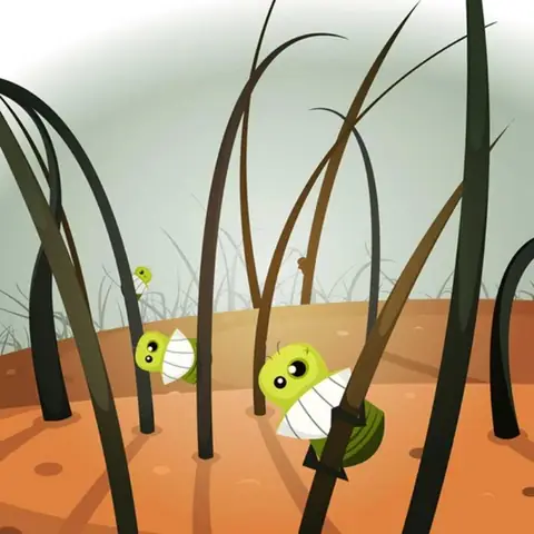 Giải Mã Giấc Mơ Thấy Chấy Trên Đầu Và Các Con Số May Mắn Đi Kèm