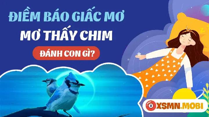 Giải Mã Ý Nghĩa Khi Mơ Thấy Chim Màu Đen & Danh Sách Con Số May Mắn