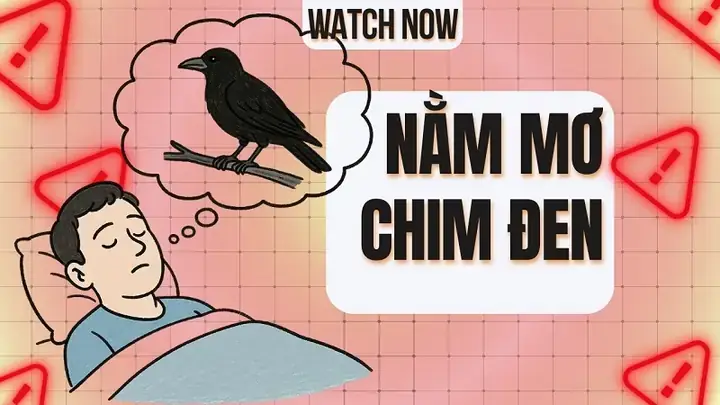 Giải Mã Ý Nghĩa Khi Mơ Thấy Chim Màu Đen & Danh Sách Con Số May Mắn