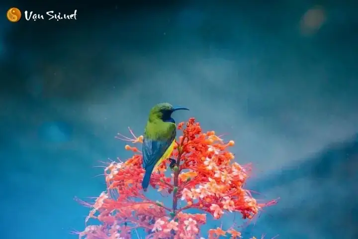 Giải Mã Giấc Mơ Thấy Chim Non Trong Tổ: Điềm Báo Gì Và Con Số May Mắn