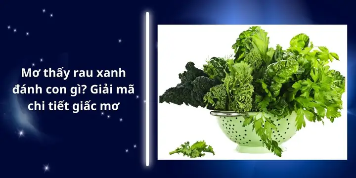 Giải Mã Giấc Mơ Thấy Chó Đen Cắn Vào Tay: Điềm Báo Gì Và Con Số May Mắn?