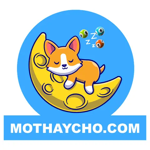 Mơ Thấy Chó Đen Đuổi Cắn Là Điềm Gì? Giải Mã Chi Tiết Và Con Số May Mắn