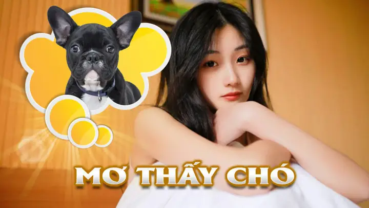 Mơ Thấy Chó Đen Đuổi Cắn Là Điềm Gì? Giải Mã Chi Tiết Và Con Số May Mắn