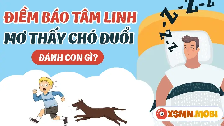 Giải Mã Ý Nghĩa Giấc Mơ Thấy Chó Rượt Đuổi Mình Và Những Điềm Báo Liên Quan