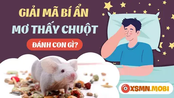 Giải Mã Giấc Mơ Thấy Chuột Cống: Ý Nghĩa Tâm Linh Và Những Con Số May Mắn
