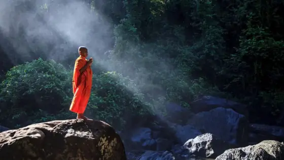 Giải Mã Giấc Mơ Thấy Có Người Muốn Giết Mình: Nguyên Nhân Và Cách Hóa Giải