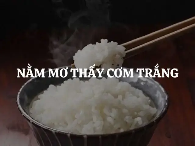 Giải Mã Giấc Mơ Thấy Cơm Trắng: Ý Nghĩa Tâm Linh Và Những Con Số May Mắn