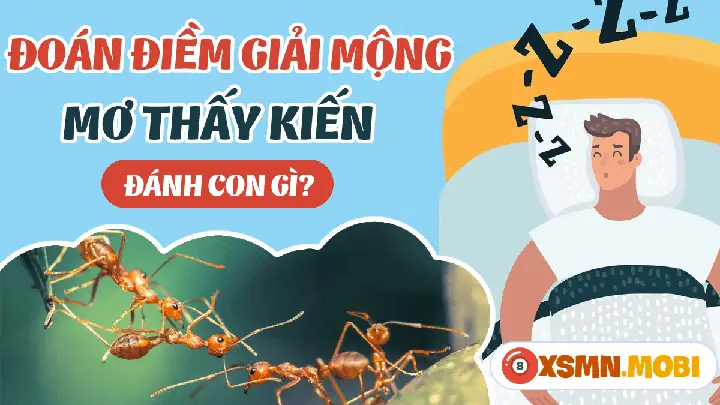 Giải Mã Giấc Mơ Thấy Đàn Kiến Bò Vào Nhà: Điềm Báo Gì Và Những Con Số May Mắn