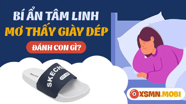 Mơ Thấy Đi Tìm Dép Đánh Con Gì? Giải Mã Chi Tiết Ý Nghĩa Và Con Số May Mắn