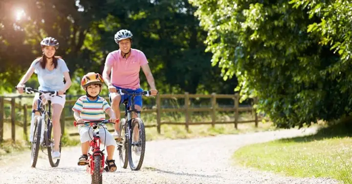 Giải Mã Chi Tiết Giấc Mơ Thấy Đi Xe Đạp: Điềm Báo Tâm Linh & Con Số May Mắn