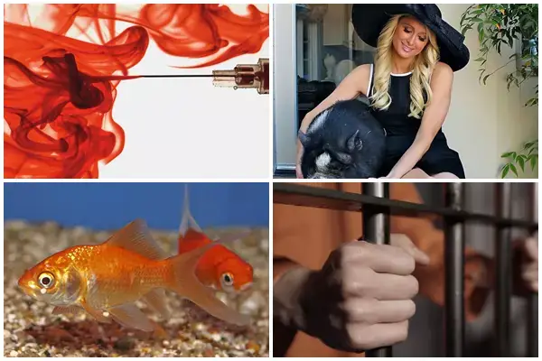 Giải Mã Giấc Mơ Thấy Đứng Trên Cao Nhìn Xuống: Ý Nghĩa, Điềm Báo Và Những Con Số May Mắn