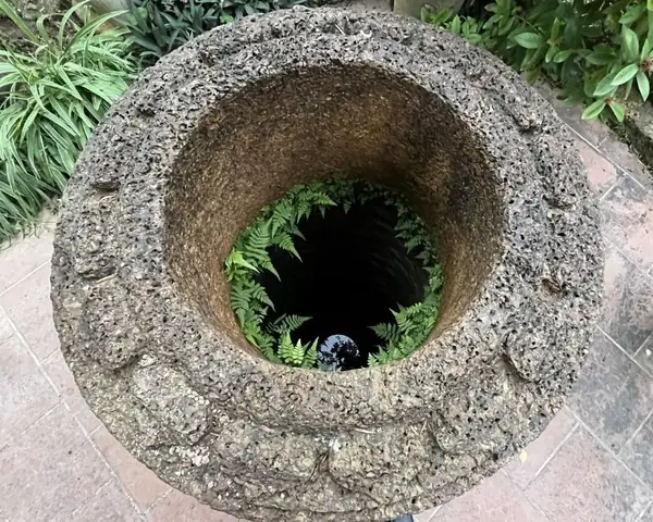 Mơ Thấy Giếng Nước Đầy Đánh Con Gì? Giải Mã Bí Ẩn Và Con Số May Mắn